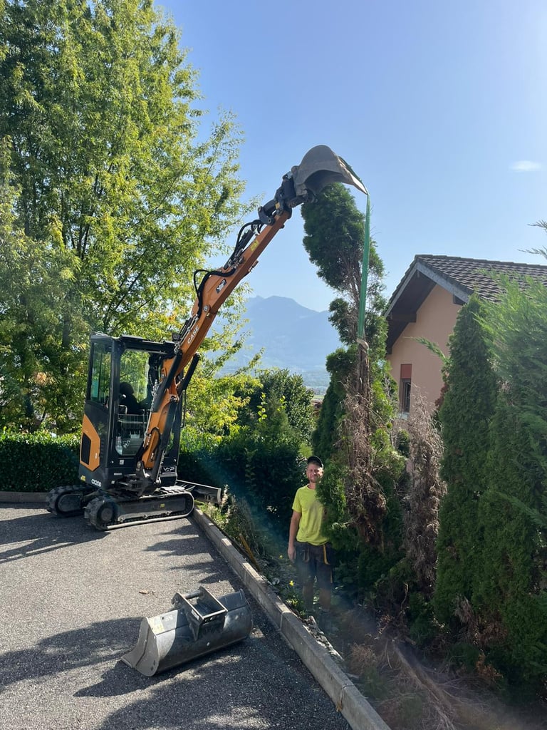 travaux exterieur grue, arbre