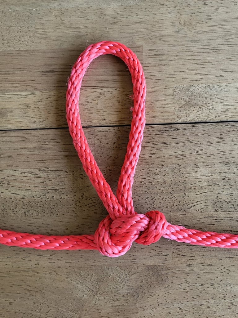 Alpine Butterfly Mid-line Loop Knot in red rope