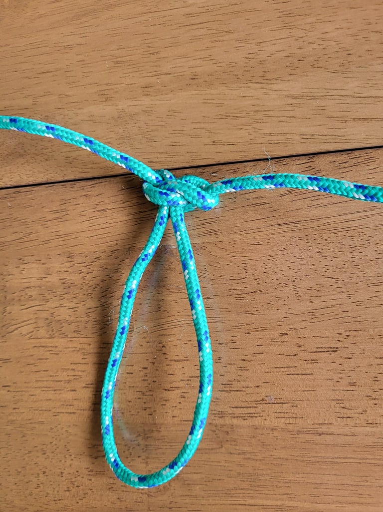 Reverse view of Alpine Butterfly Loop Knot