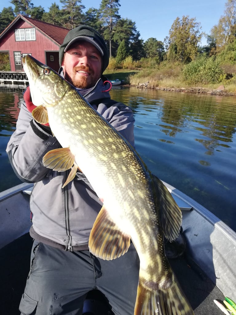 un pêcheur tient un beau brochet qu'il a pêcher en suède