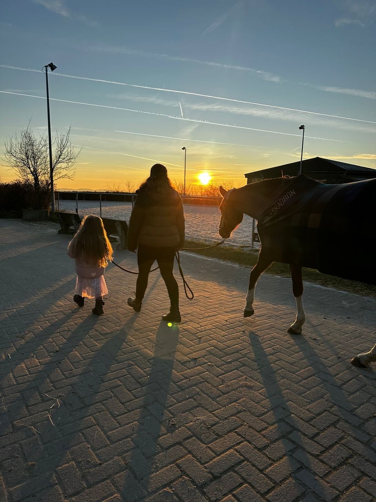 Ponytante mit ihrem Pferd im Sonnenuntergang