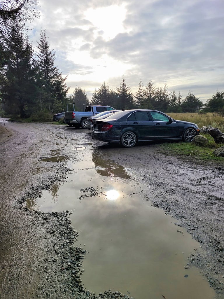 redwood national park, redwoods, fern canyon