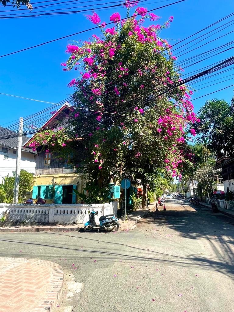 Luang Prabang