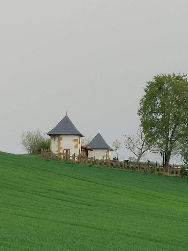 Fleurieux sur l'arbresle, élections municipale 2024