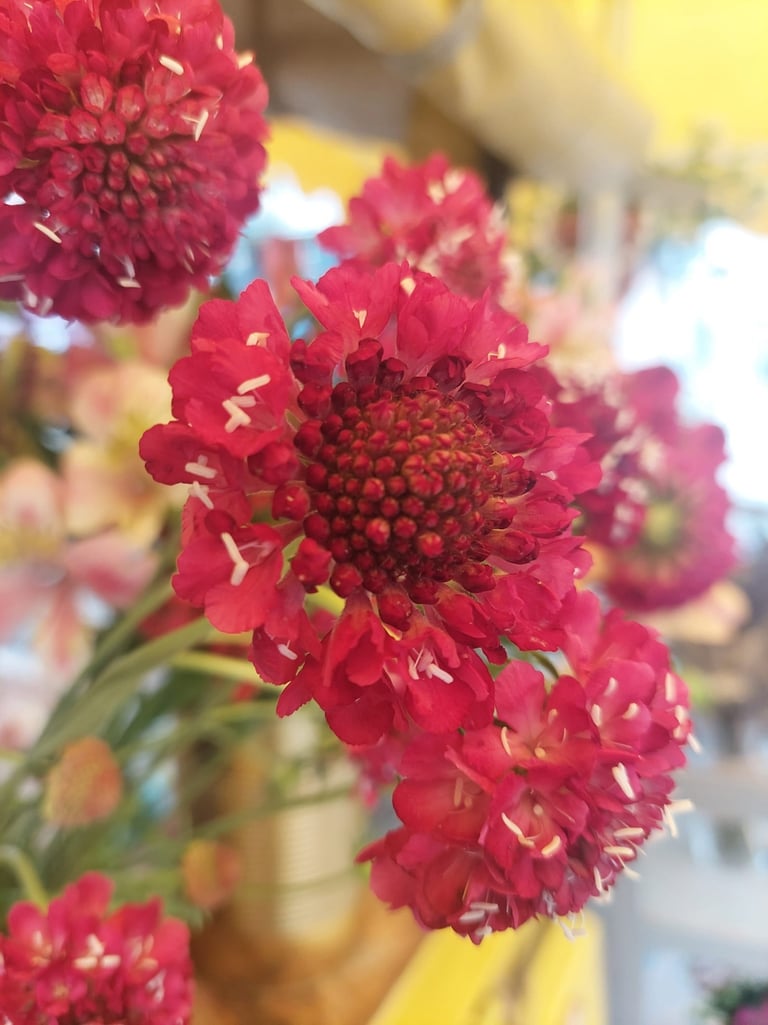 Démarche écoresponsable