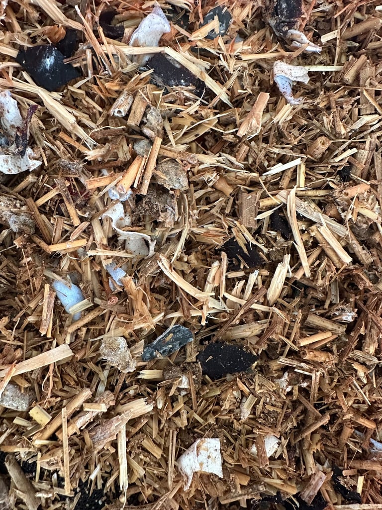 Agriculture Waste-Stubble