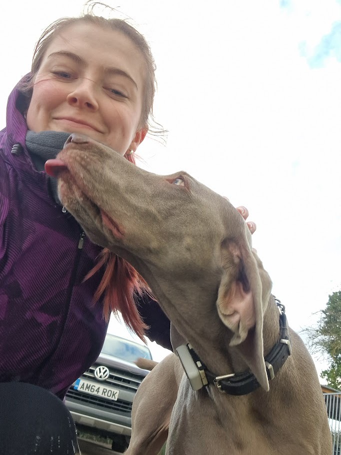 Pet sitter and dog walker doncaster