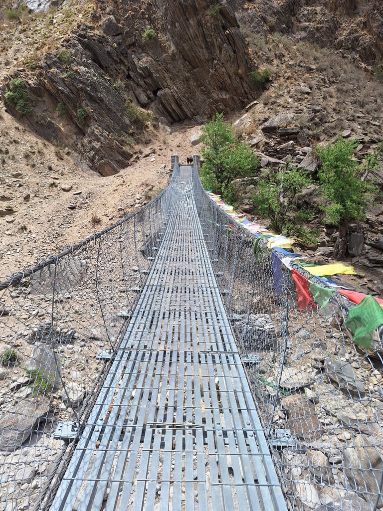Bridge Phoksundo Park