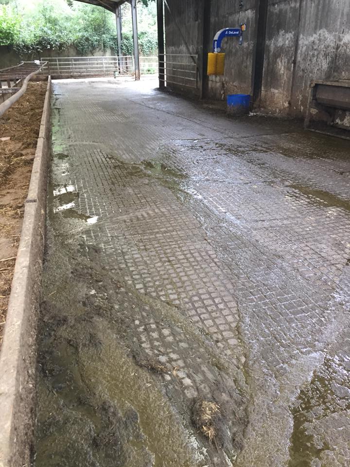 rainurage Angleterre