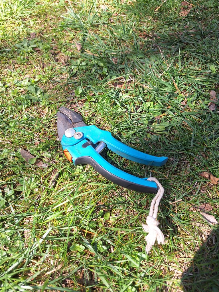 https://gardenerspath.com/how-to/animals-and-wildlife/deer-fence-diy/