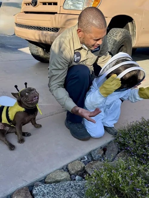 Family-owned Pest Control in Menifee, Murrieta, Temecula Footprint Pest Management