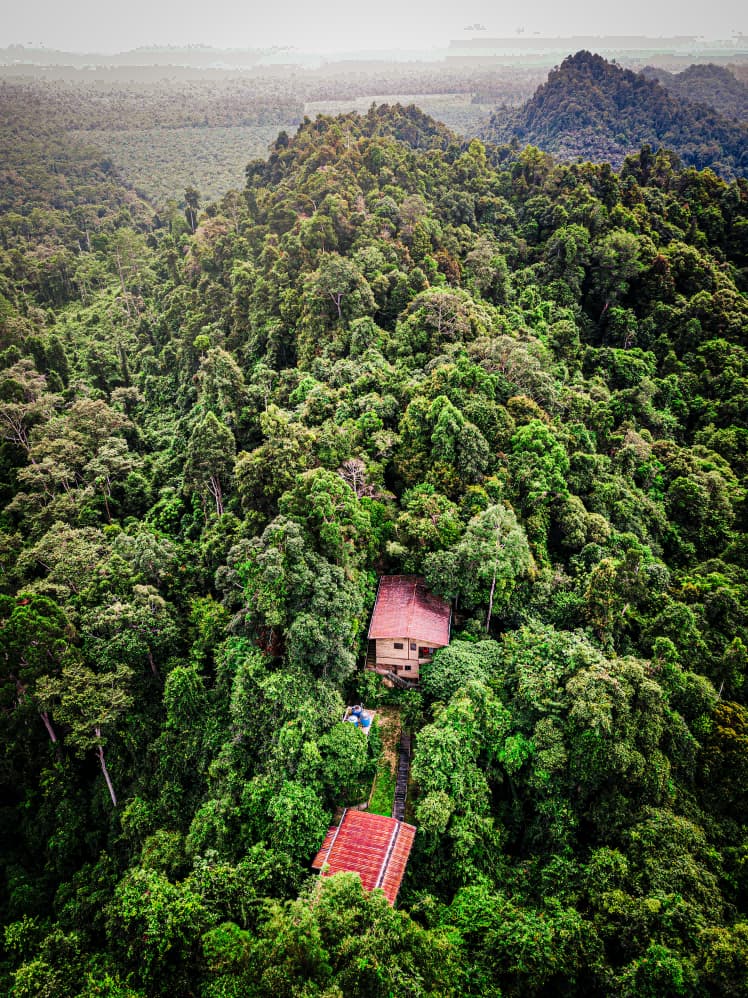 Aerial view of a secluded jungle lodge nestled within a dense tropical rainforest canopy.