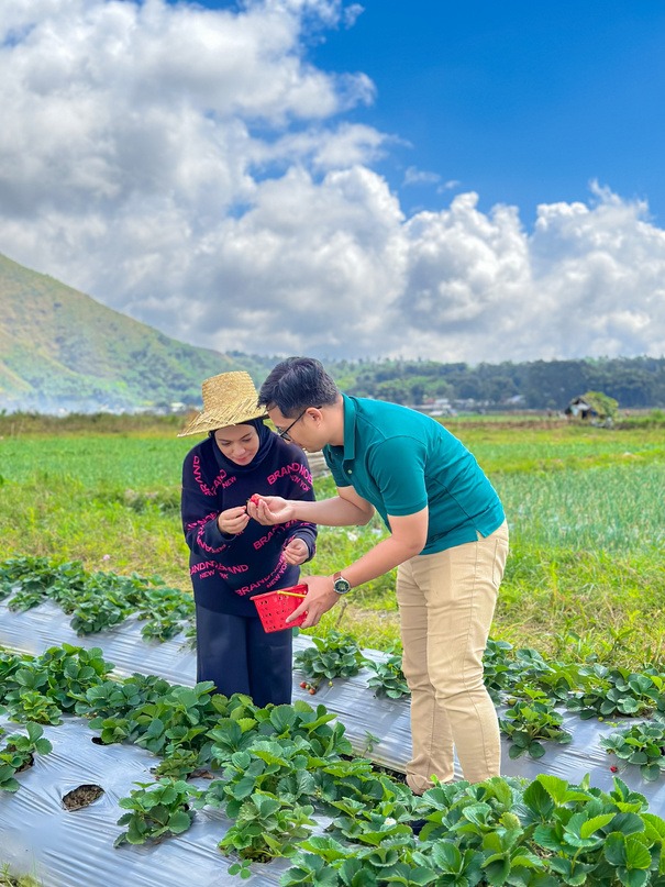 a woman in a strawberries field with a bucket in sembalun hat on