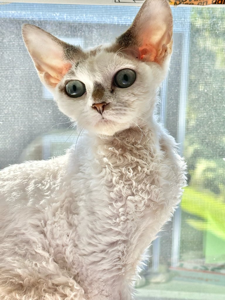 Dominika with big aqua eyes