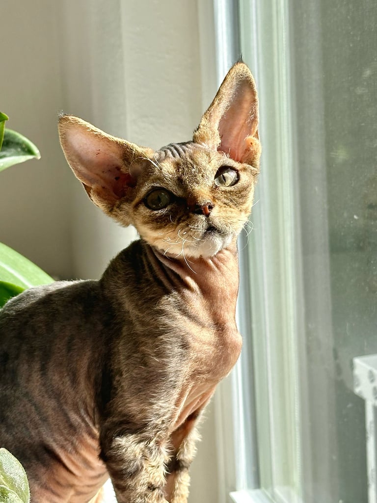 Lyubov sitting on a window sill