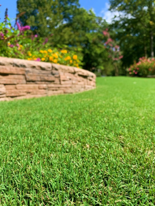 beautiful lawn williamsburg va