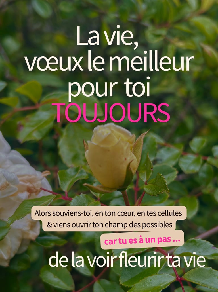 La vie voeux le meilleur pour toi