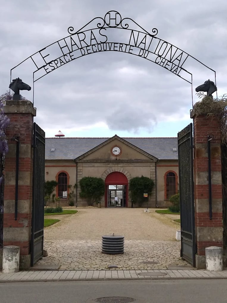 Ty Bayon - Activités pour vos P'tits Loups - Le Haras National d'Hennebont