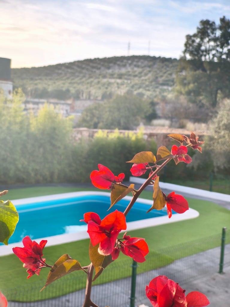 Casa rural con amplios jardines y rodeada de naturaleza