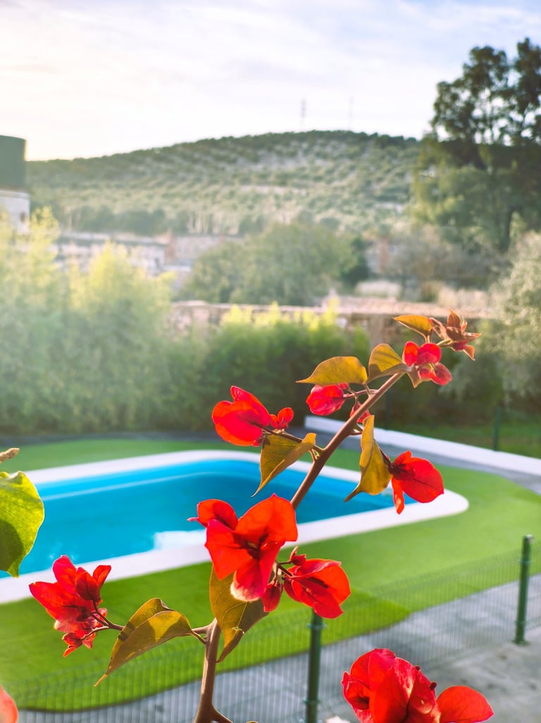 Casa rural con piscina y rodeada de naturaleza