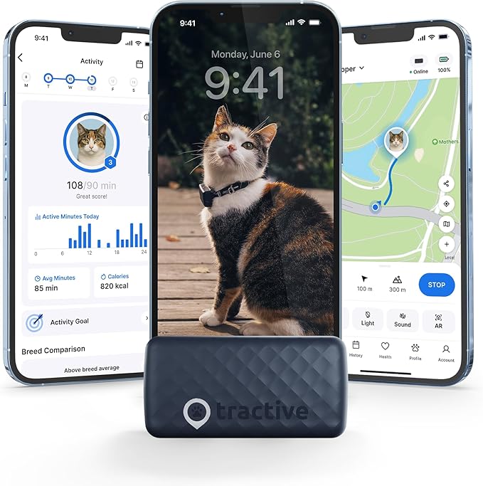 Blue smart GPS tracker collar for cats with real-time location and wellness monitoring