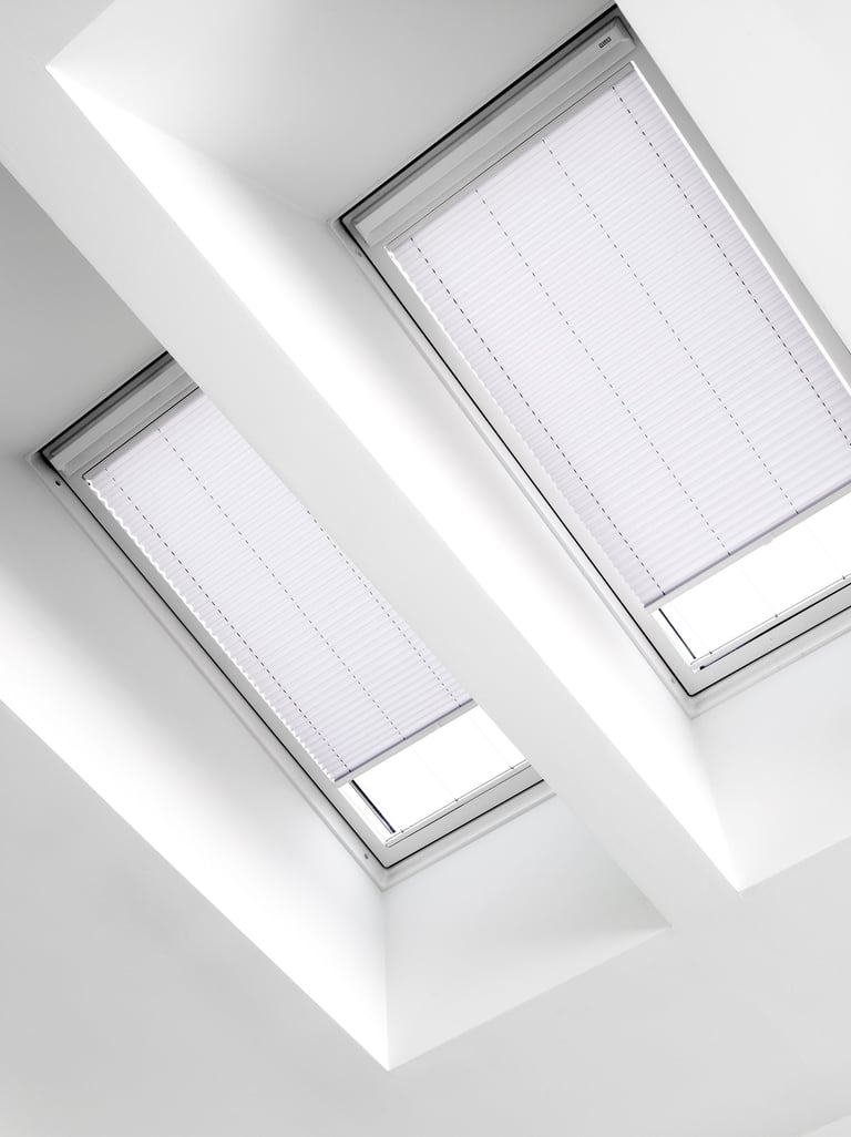 Skylight and Ceiling Pleated Blinds