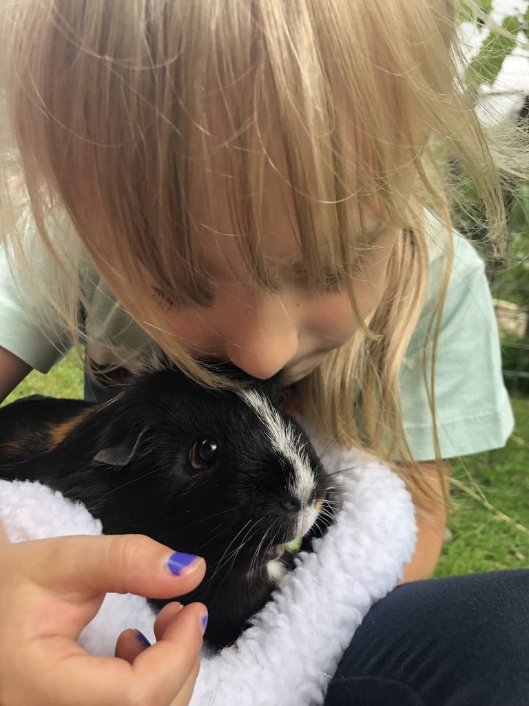 approche thérapeutique avec les animaux