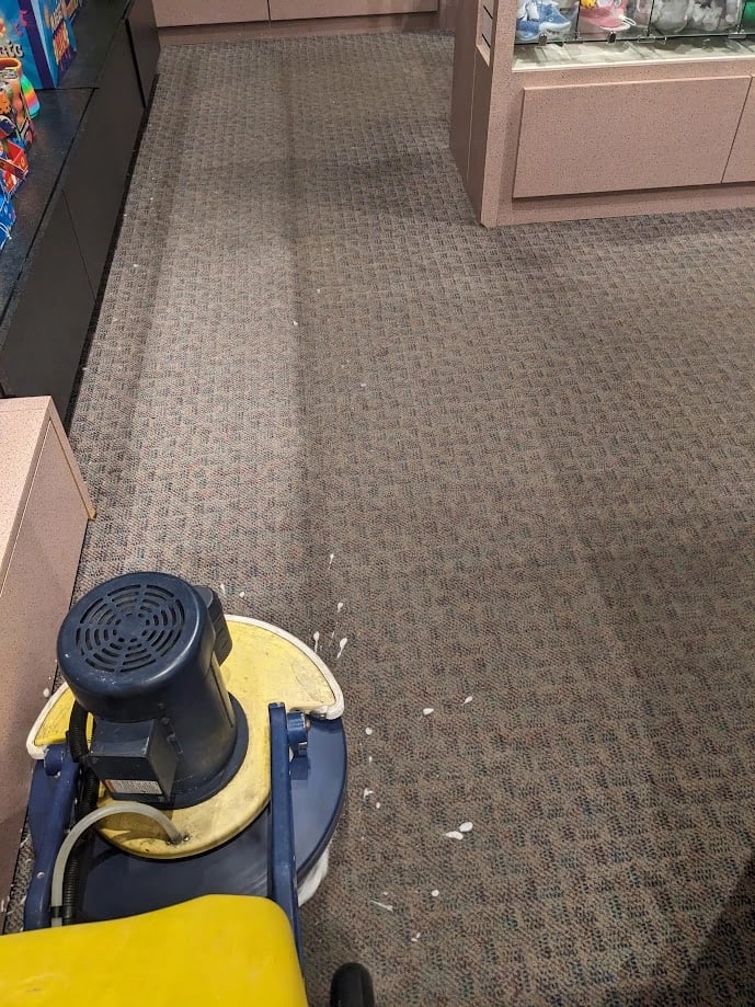 Commercial carpet cleaning in Olympia using a Cimex
