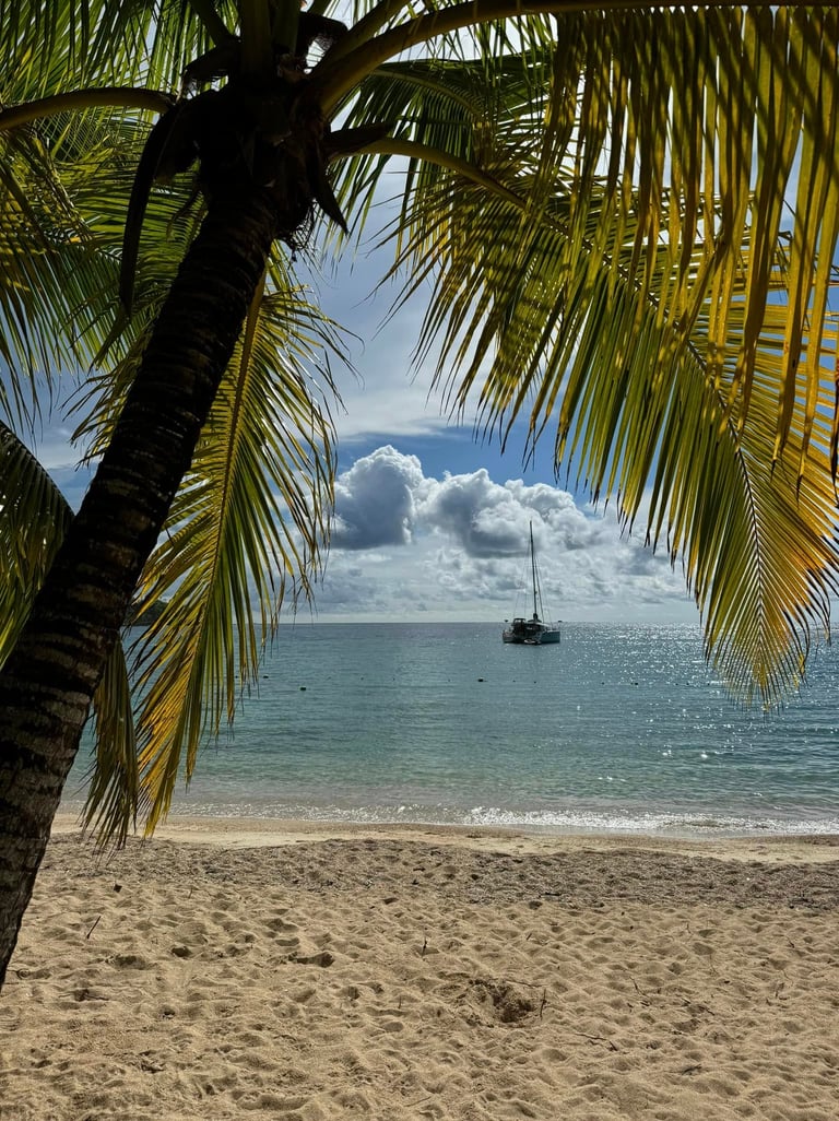 a sailboat is seen from the beach with palm trees