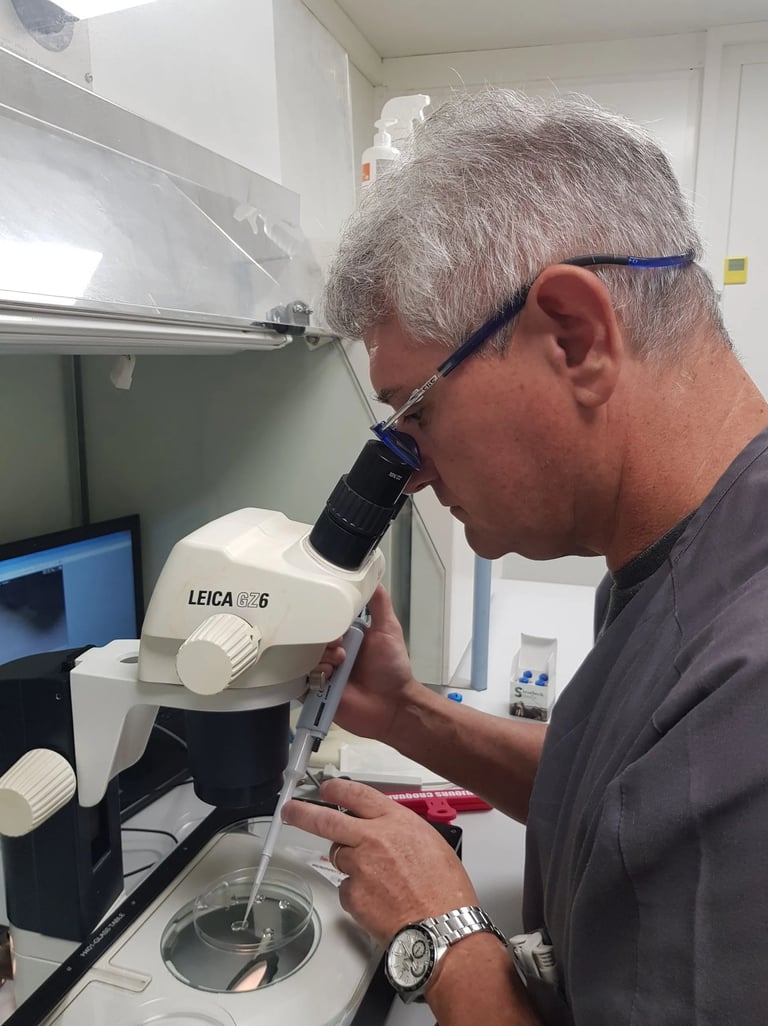 Vitrification d'un embryon équin