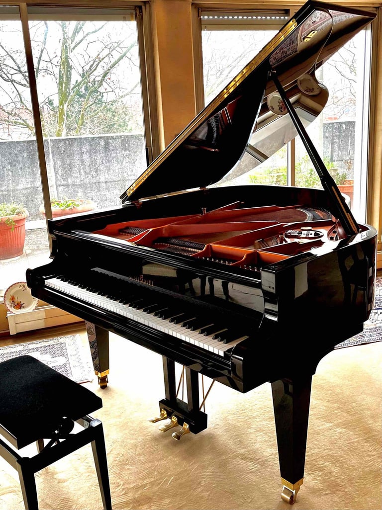 Piano Schimmel queue