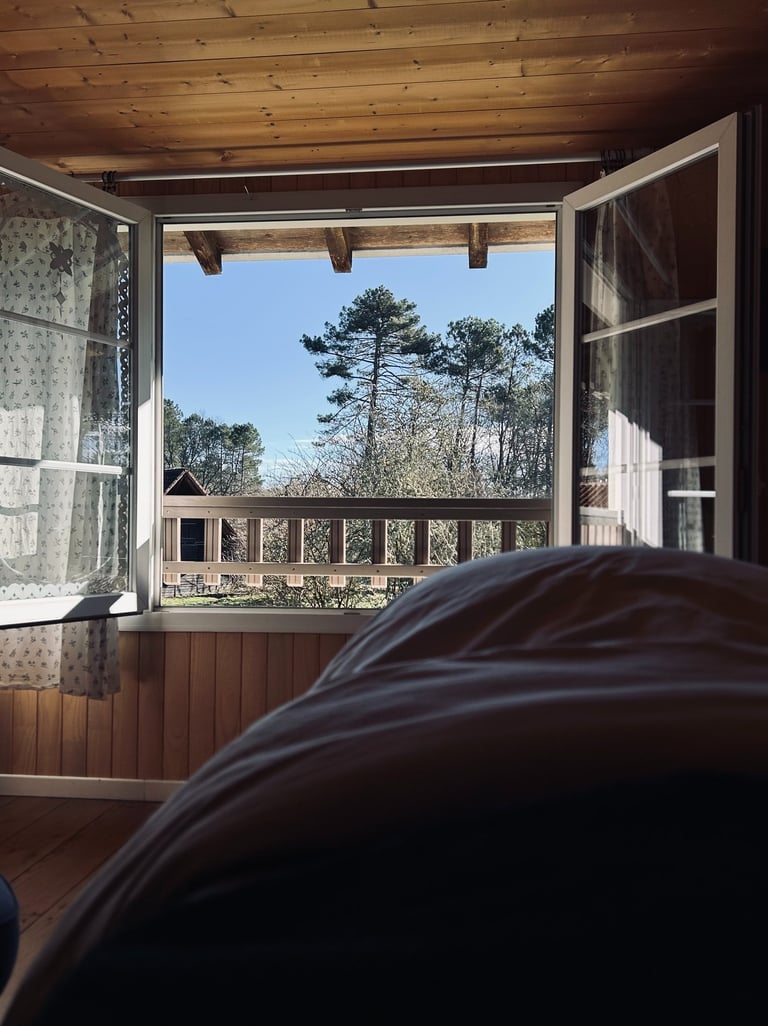 La vue sur les pins depuis le cocon chez Le Secret