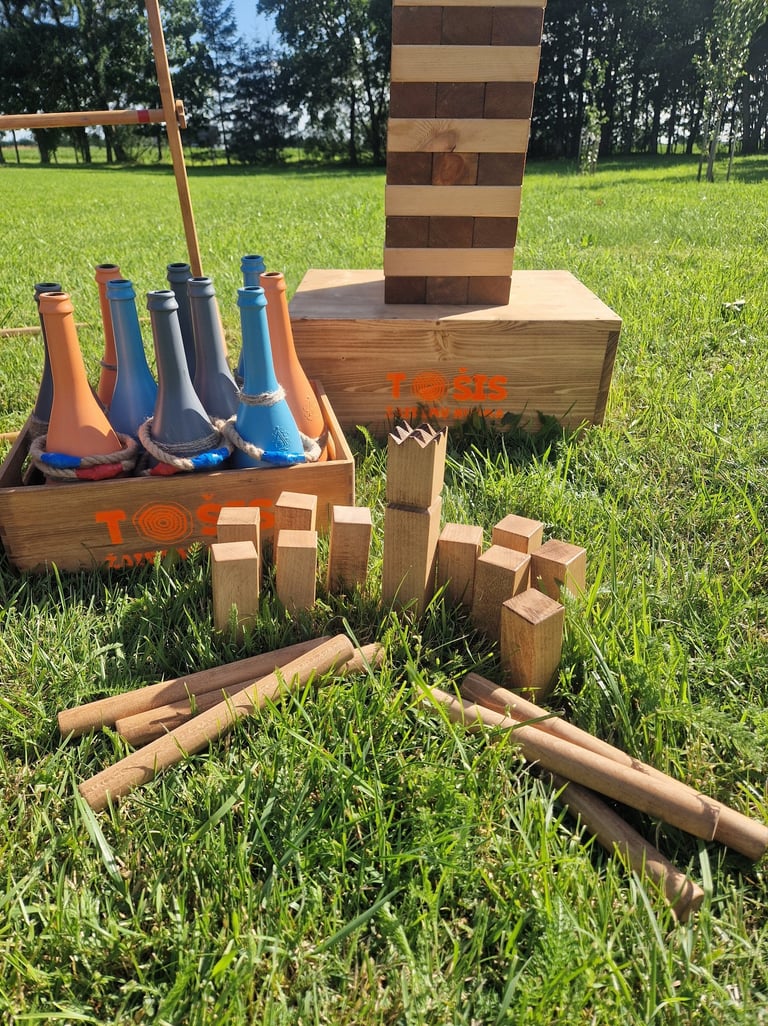 TOŠIS žaidimų nuoma šventėms Klaipėdoje