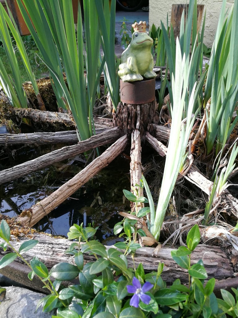 Ein kleines Detail aus dem Garten