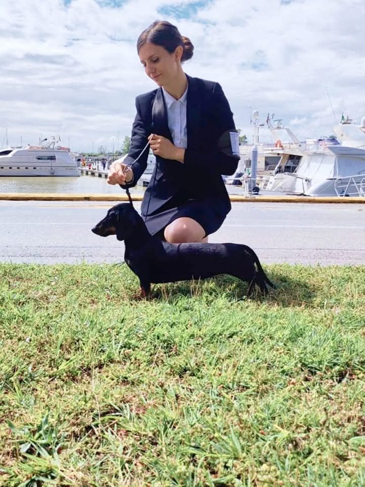 Professional handler posing a black dachshund at a dog show near a sunny marina. Ferrara