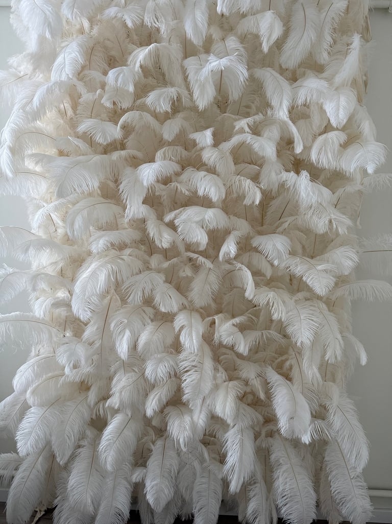 Plunksnų foto siena, plunksnų foto sienelė, foto siena gimtadieniui, isskirtine foto siena