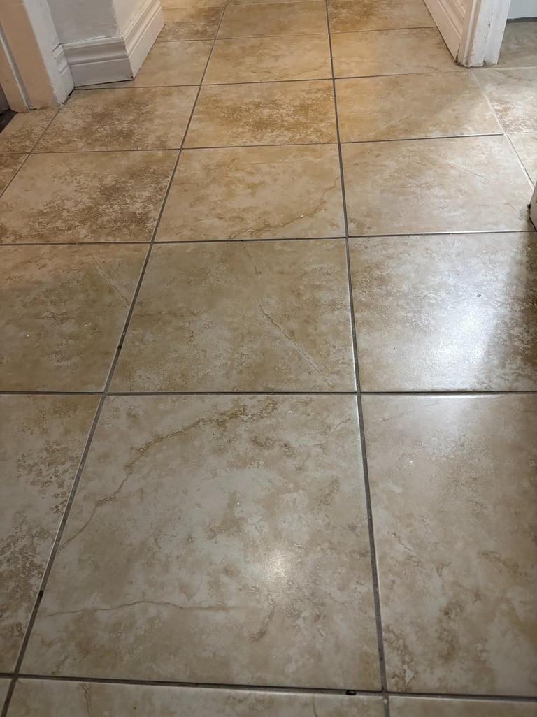 Tile floor before sealing, showing dull and unprotected surface