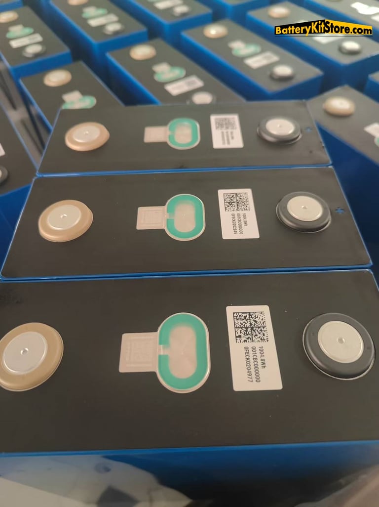 detail of LiFePO4 prismatic battery cells