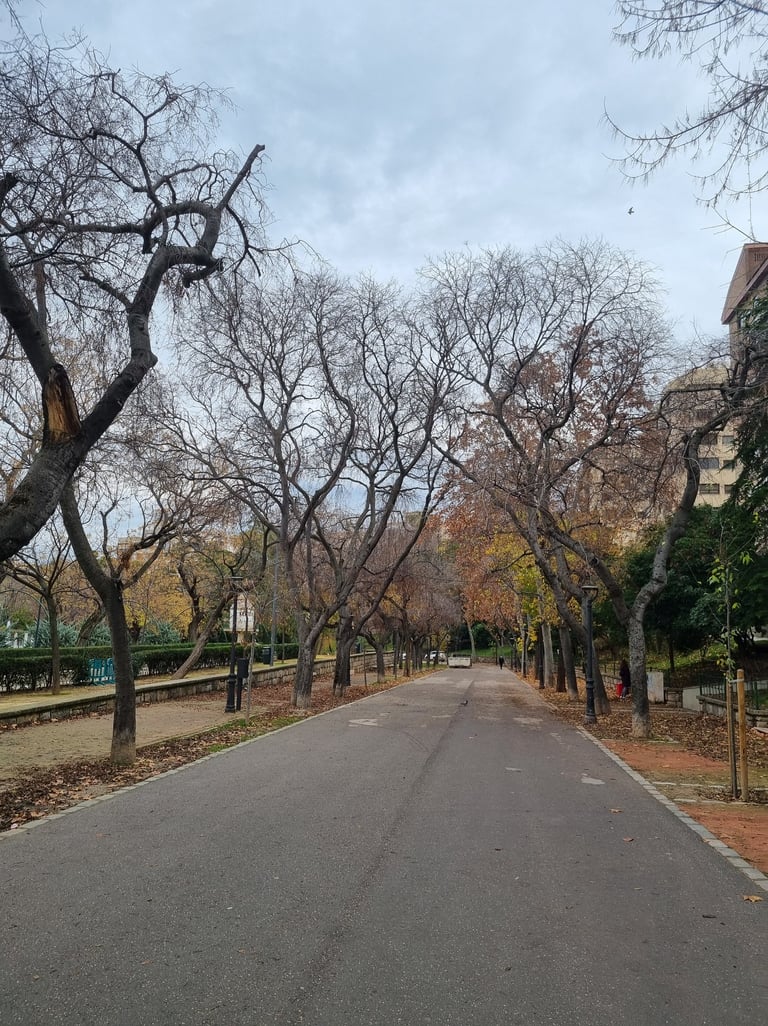 Jaen centro l Asociación de vecinos. Paseo de las Bicicletas en Parque de la Concordia. Victoria