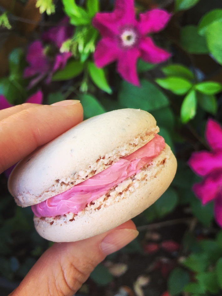 Macaron rose