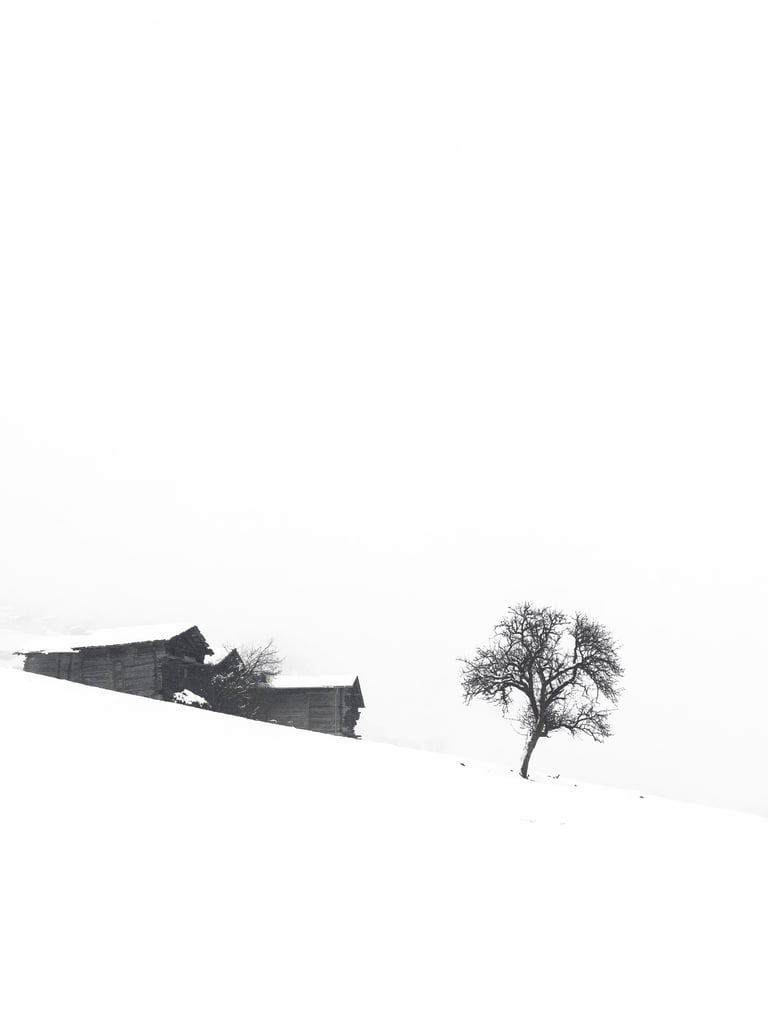 a lone tree in the snow with a lone tree in the background