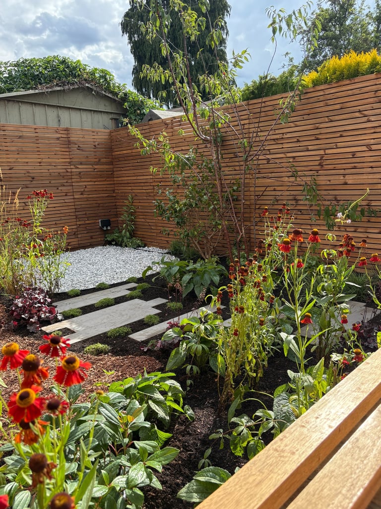 Seasonal planting scheme in South East London urban garden