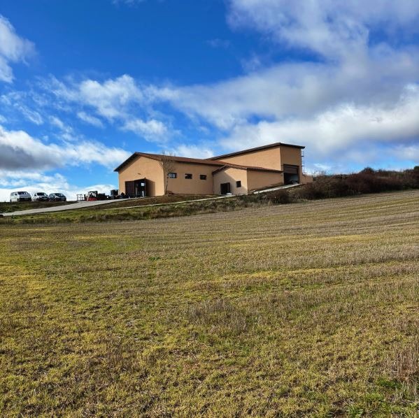 bodega margon