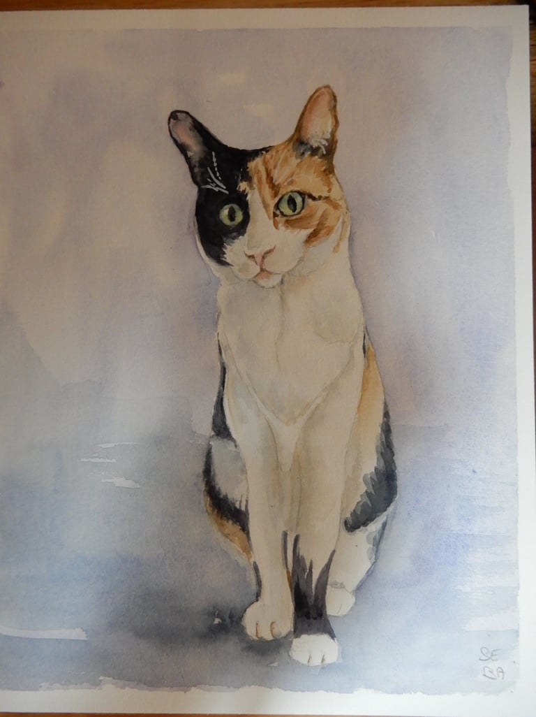 Sur Commande, aquarelle sur papier 100% coton, Sébastien Schoch