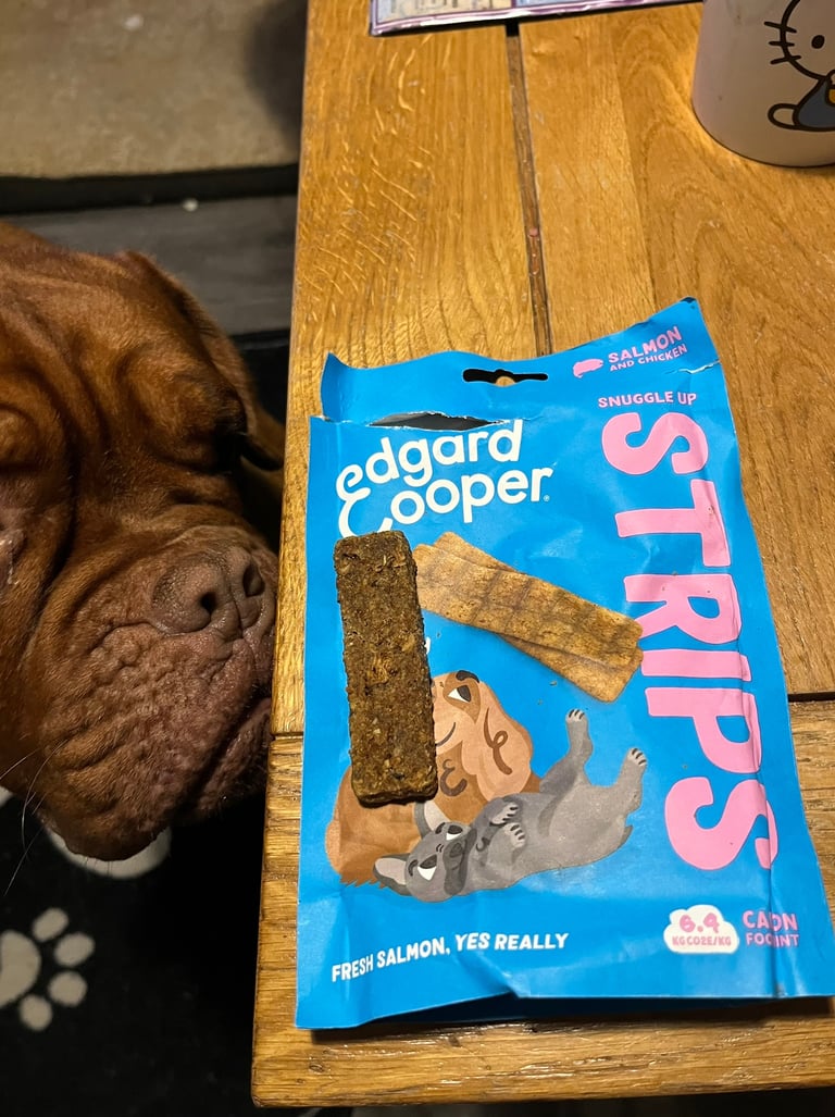 A Close up of Ember sniffing the Snuggle up Strips in Salmon & Chicken flavour