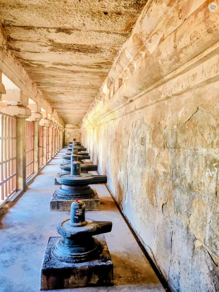 Sacred Shivalingas aligned in the corridor of Brihadeeswara Temple, Thanjavur