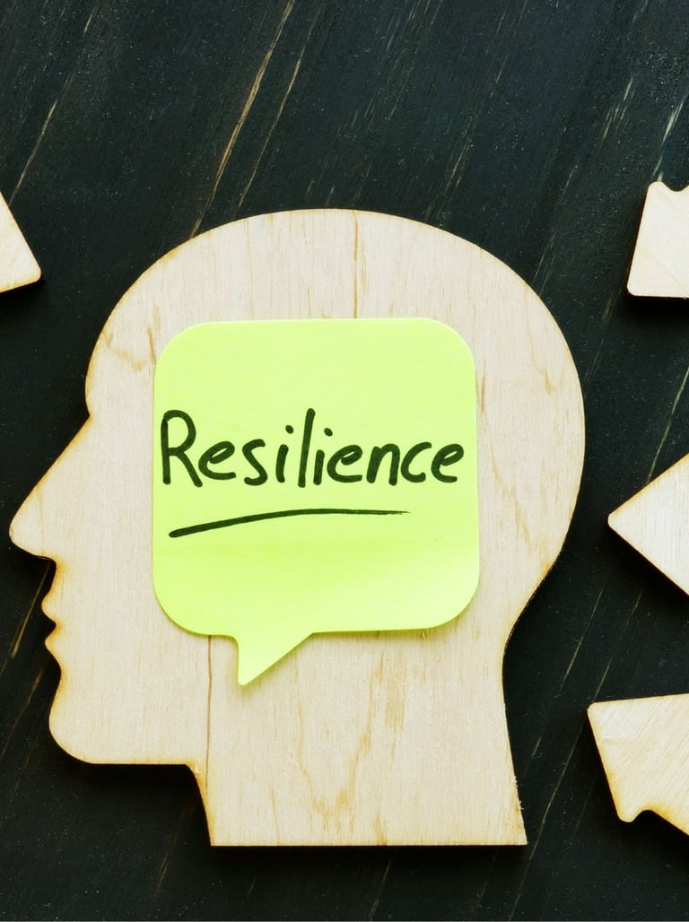 Building Resilience: Managing Stress in Professional Environments