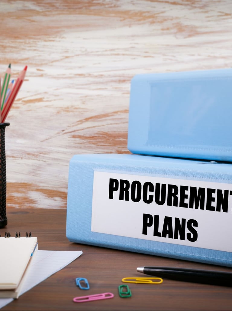 Procurement Planning Fundamentals: A Course on Efficiency, Effectiveness, and Economy