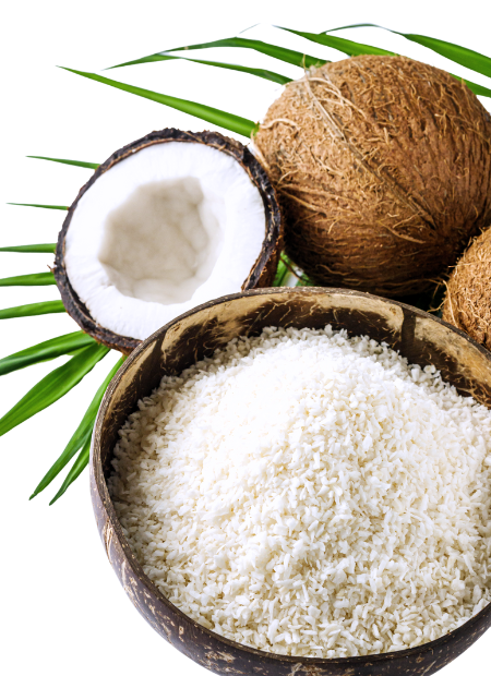desiccated coconut powder
