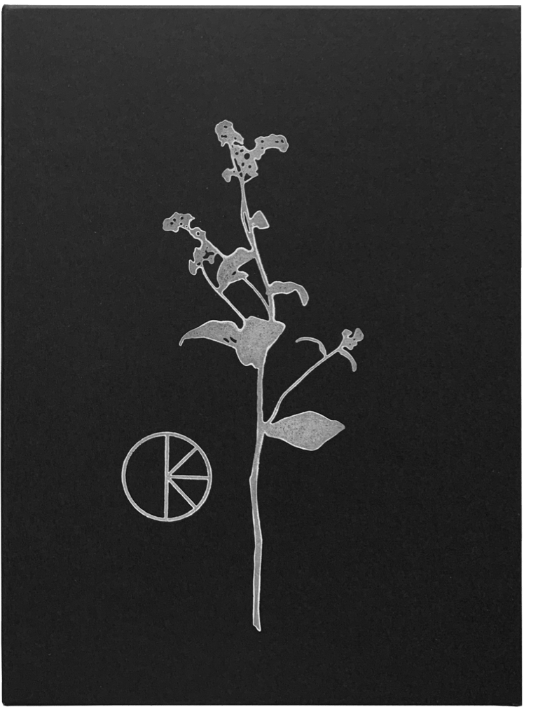 Deckel mit Vergissmeinnicht des Schmuckkästchens